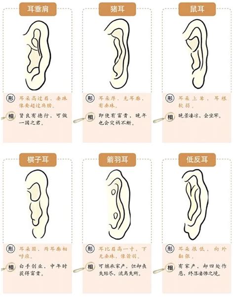 耳珠朝口|面相耳朵图解【最详细版】 – 杨易德全集官网